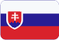 Cursos de lenguas extranjeras Slovensky